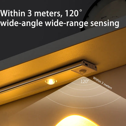 BrightGlow Plus LED Motion Light